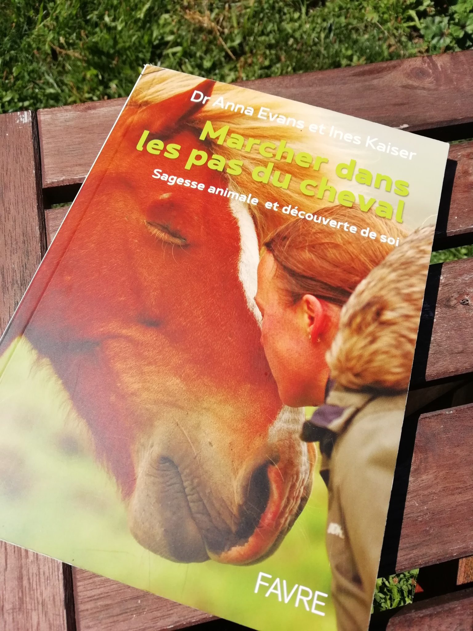 Cavalier, passe ton chemin ! Pages irlandaises, Michel Déon